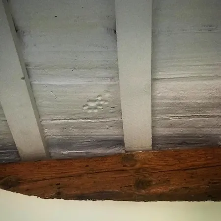 לינה וארוחת בוקר La Trave